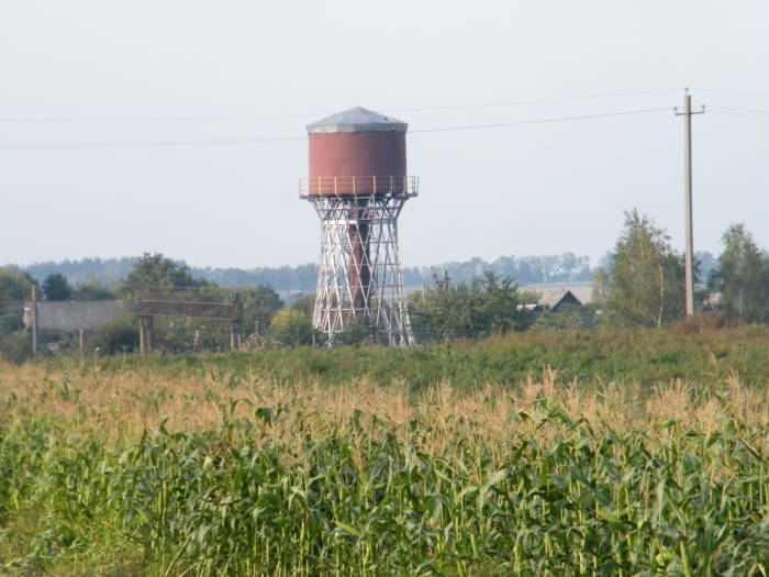 Гиперболоидная башня Шухова в Толочинском районе теперь имеет статус историко-культурной ценности