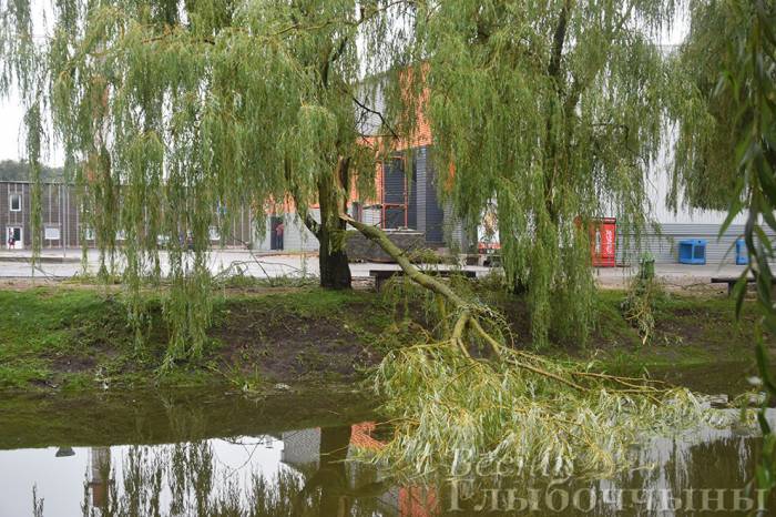 Буря в Глубоком громила заборы, деревья и даже частные дома
