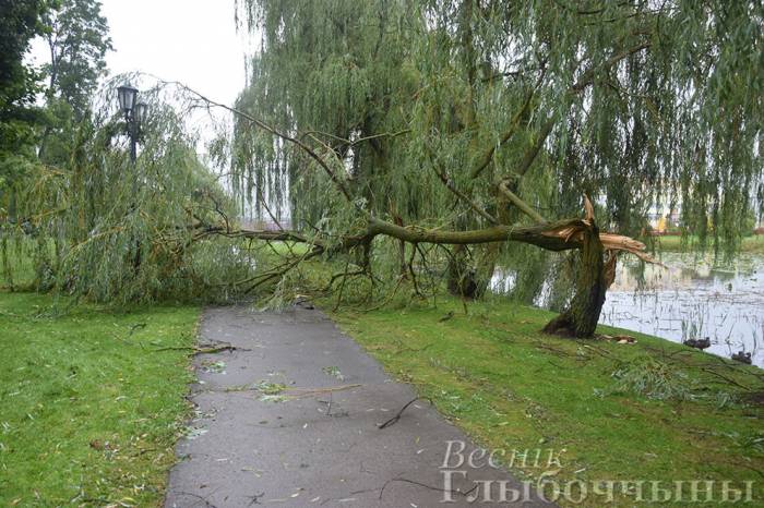 Буря в Глубоком громила заборы, деревья и даже частные дома
