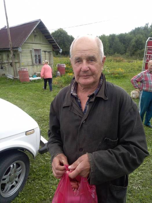 Потерявшегося в лесу 81-летнего грибника нашли в Витебском районе
