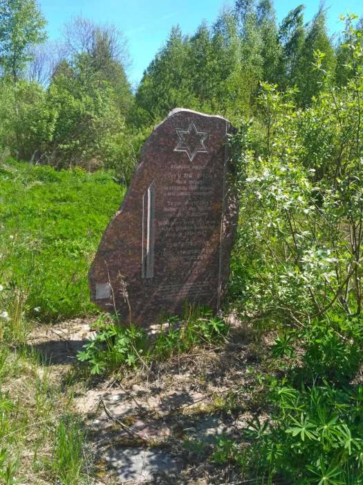 Памятник жертвам Холокоста в Яновичах под Витебском зарастает бурьяном