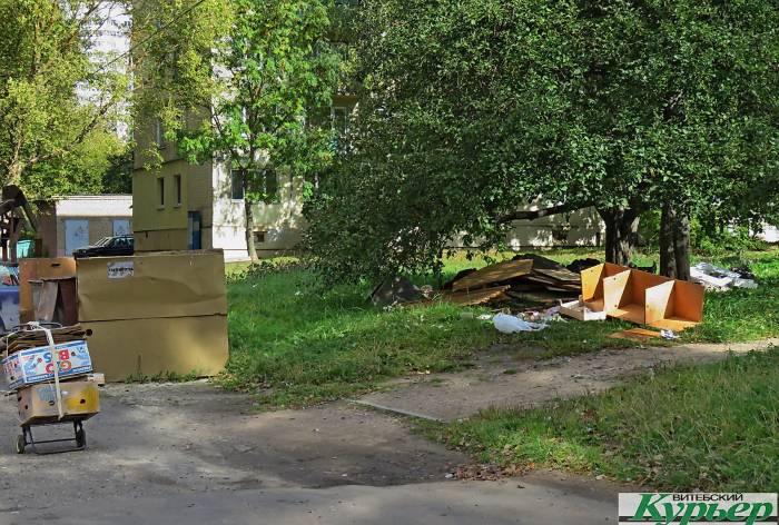 Жители Витебска жалуются на работу ЖЭУ. Возле подъездов грязь, вонь и мухи, фекалии в подвале