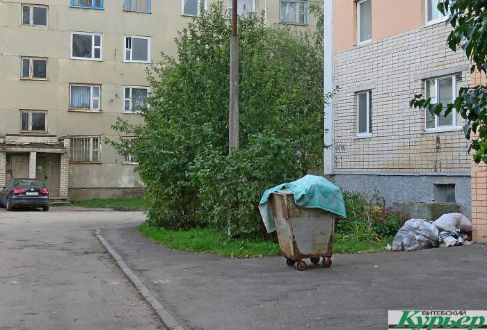 Жители Витебска жалуются на работу ЖЭУ. Возле подъездов грязь, вонь и мухи, фекалии в подвале