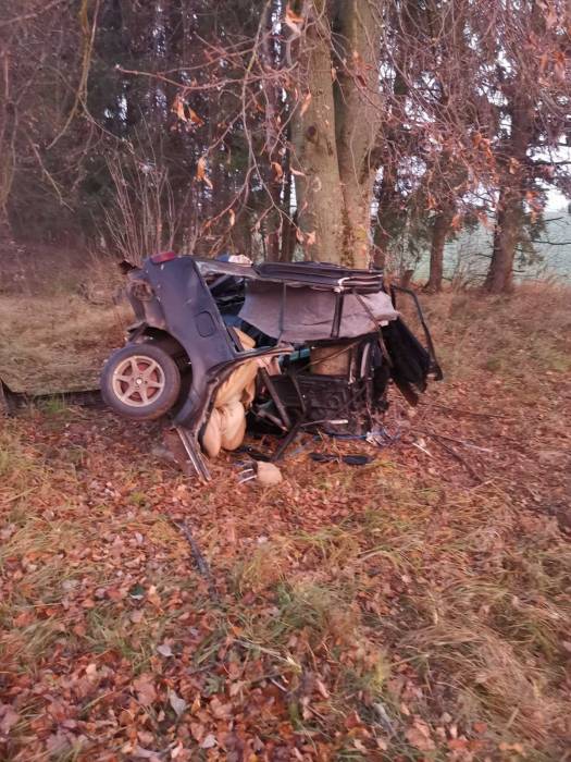 22-летний водитель погиб в результате ДТП под Оршей. Не справился с управлением и врезался в дерево