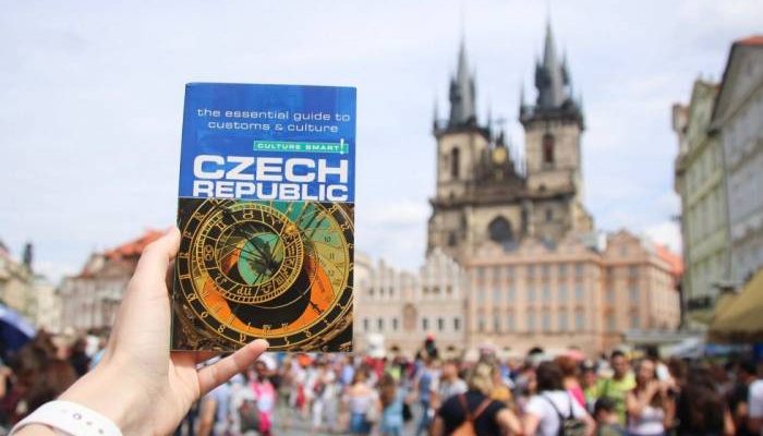 Словарь чешского
