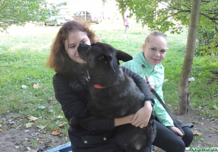 Счастливая история школьницы Насти и бывшего приютского пса Жука