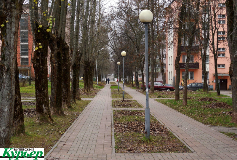 Как в Витебске жили в ташкентских домах на Смоленской улице. Очень атмосферные воспоминания