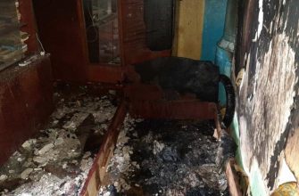 Пожар Шумилино Витебской области