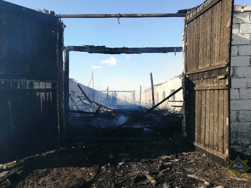 Ученики начальной школы подожгли конюшню под Чашниками, она сгорела дотла
