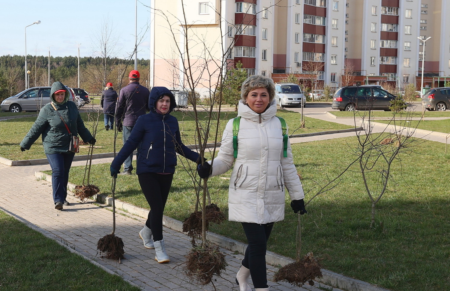 В витебском микрорайоне «Медцентр» высадили более 100 молодых деревьев