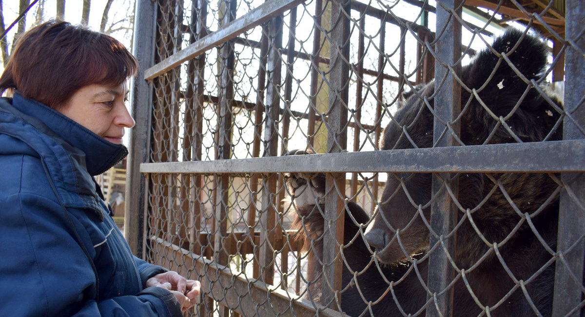 Звери Витебского зоопарка просят о помощи молча