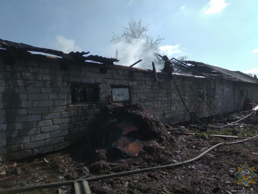 Пожар в частном сарае ликвидировали спасатели в Поставском районе