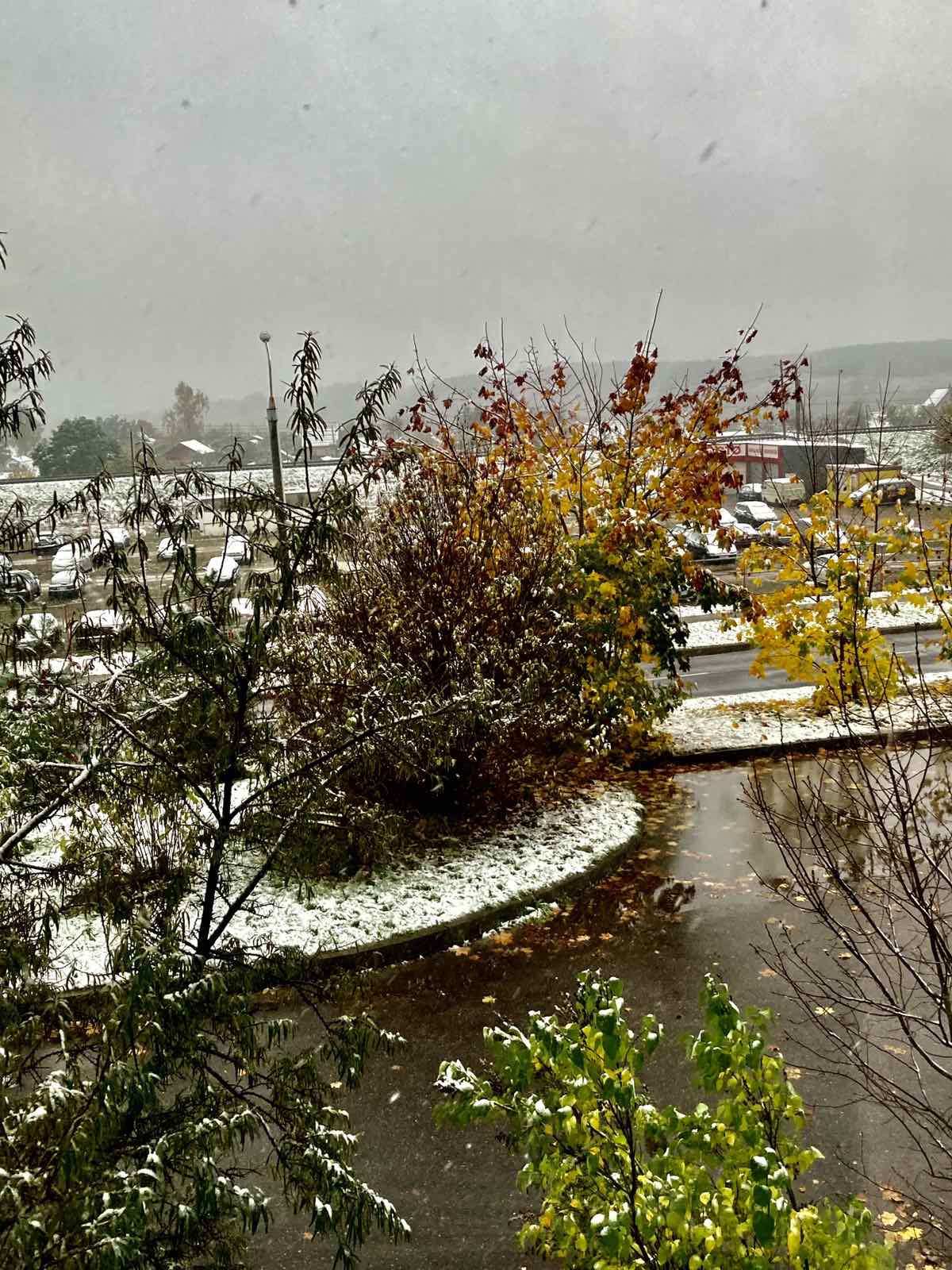 Фотофакт: в Витебске выпал первый снег
