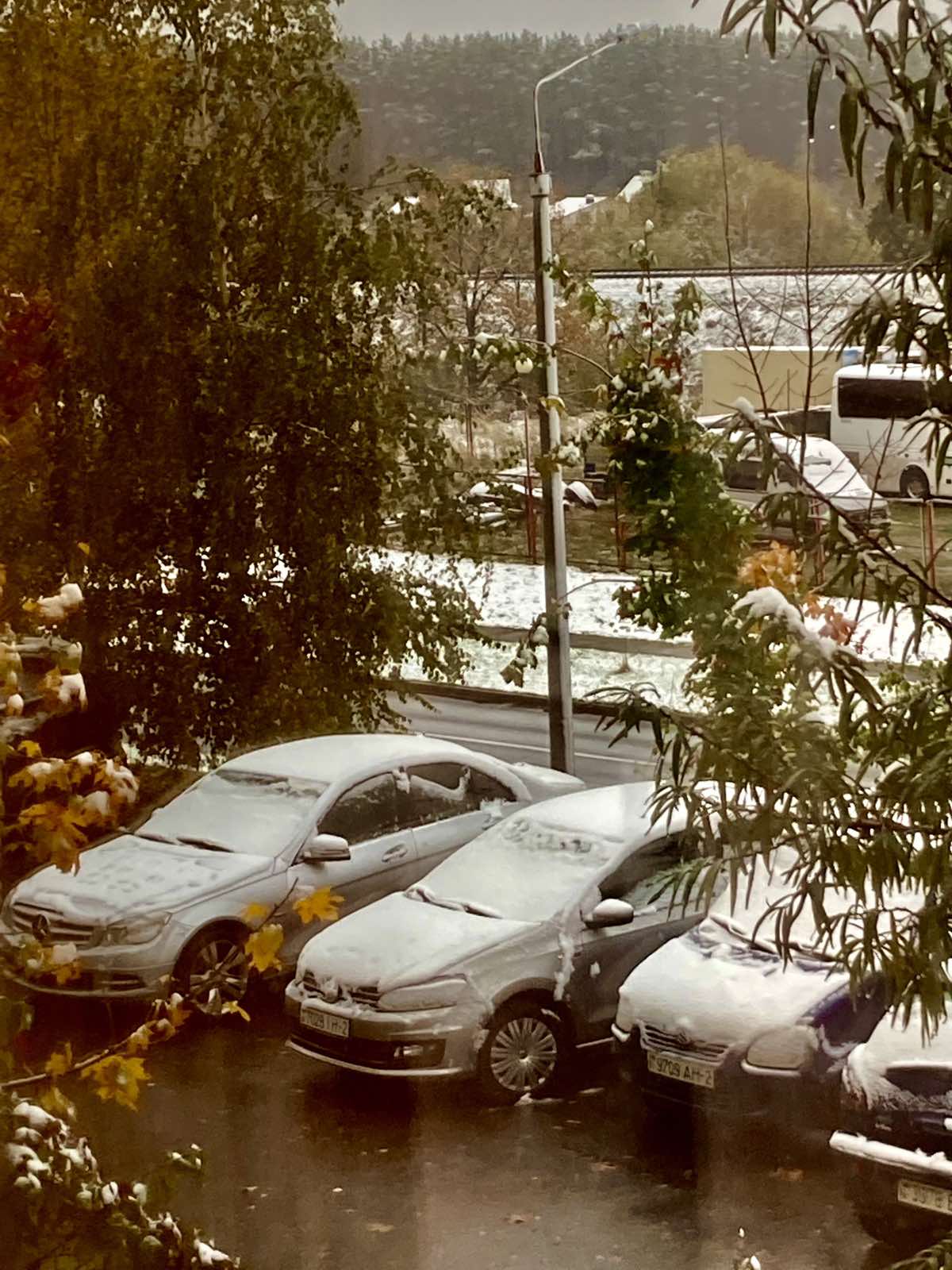 Фотофакт: в Витебске выпал первый снег