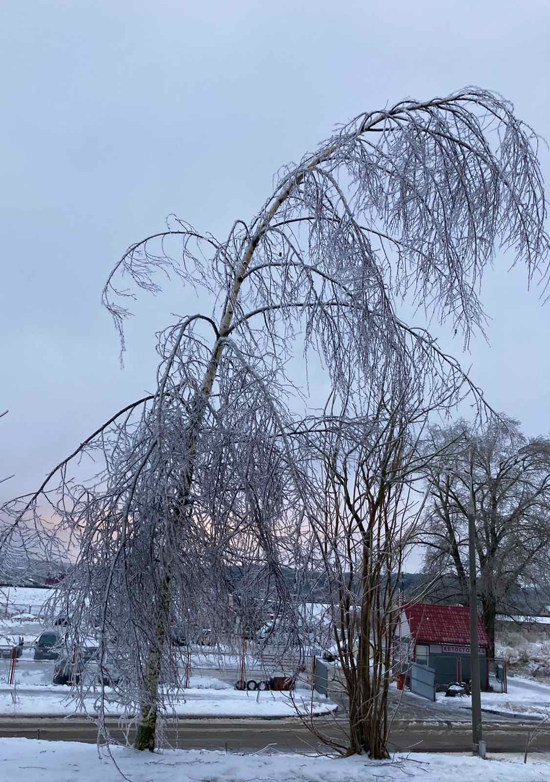 Ледяной коллапс случился в Витебске