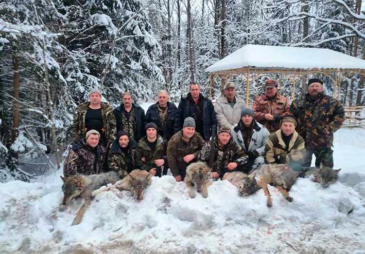 Охотники истребили стаю волков в Глубокском районе