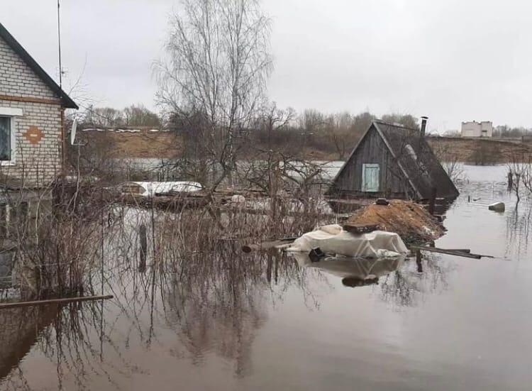 В районе Полоцка и Верхнедвинска уровень воды в Западной Двине превысил критическую отметку