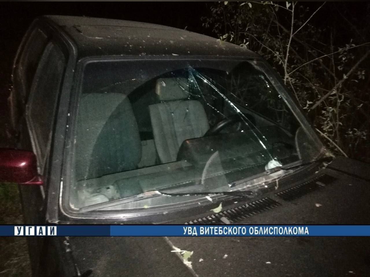 В Глубокском районе автомобиль врезался в дерево, водитель госпитализирован