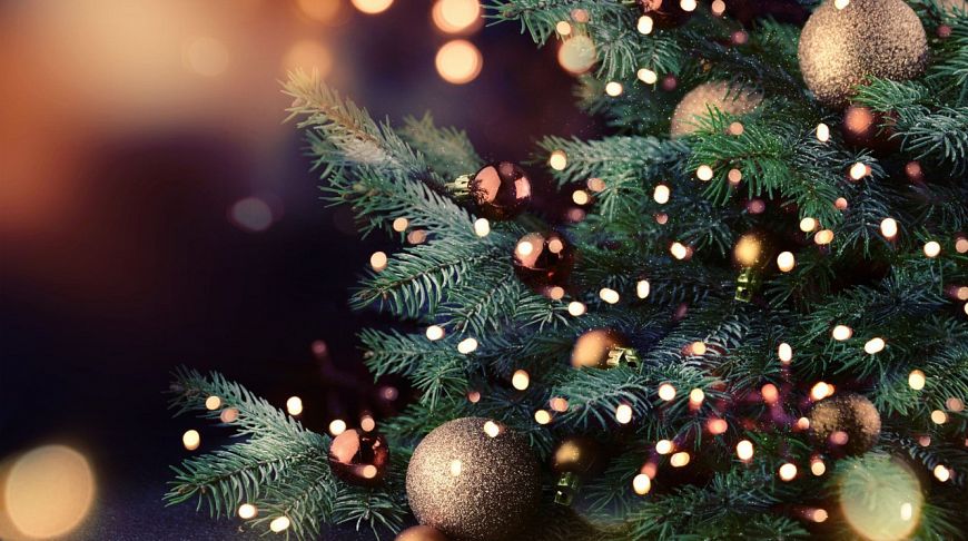 В Витебске зажгут одну из самых высоких елок Европы